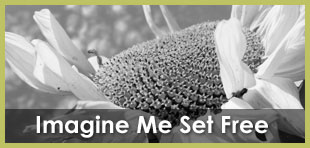 Imagine Me Set Free